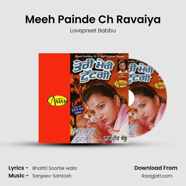 Meeh Painde Ch Ravaiya - Lovepreet Babbu album cover 