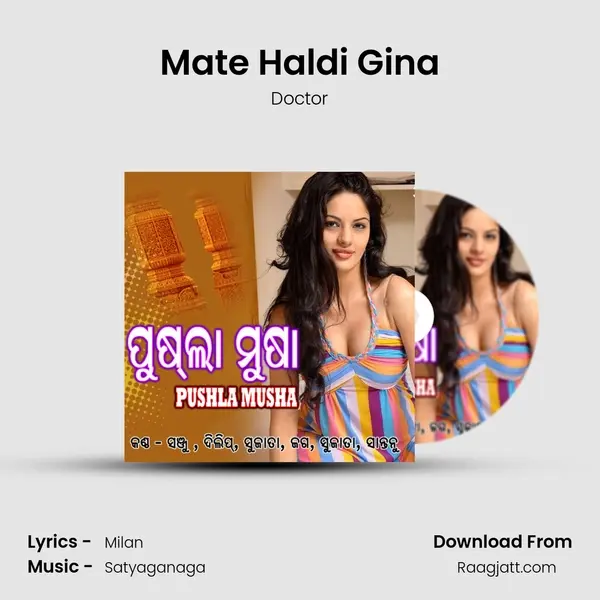 Mate Haldi Gina - Doctor album cover 