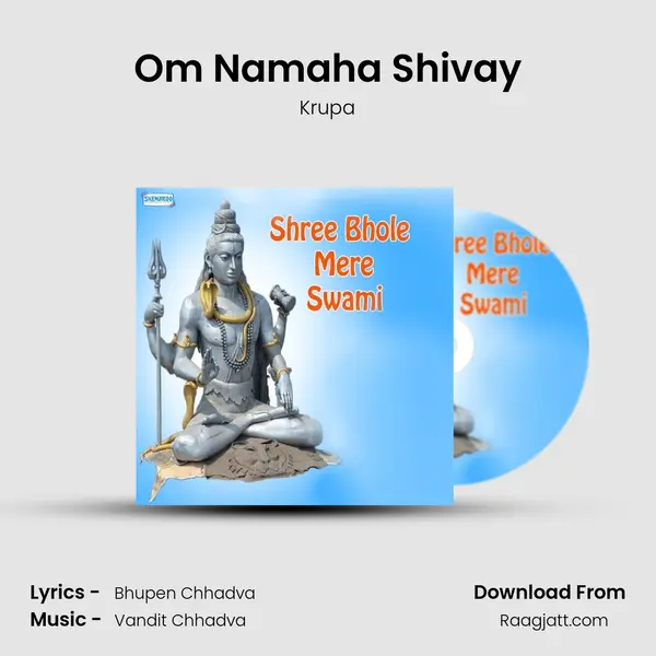 Om Namaha Shivay - Krupa album cover 