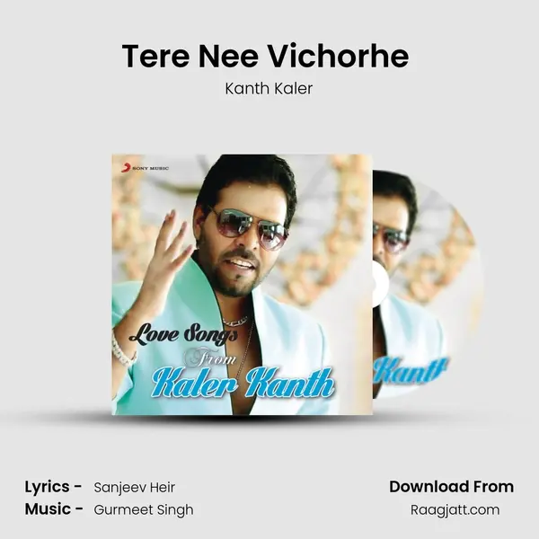 Tere Nee Vichorhe (From Tere Nee Vichorhe) mp3 song