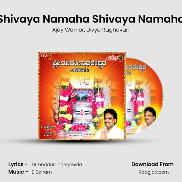 Shivaya Namaha Shivaya Namaha - Ajay Warrior album cover 