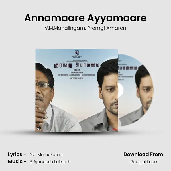 Annamaare Ayyamaare - V.M.Mahalingam album cover 