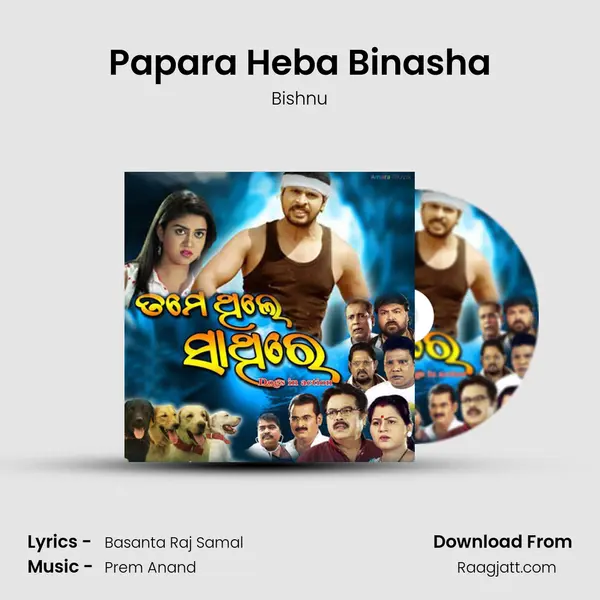 Papara Heba Binasha - Bishnu album cover 