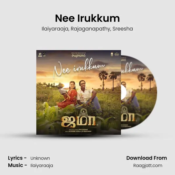 Nee Irukkum - Ilaiyaraaja album cover 