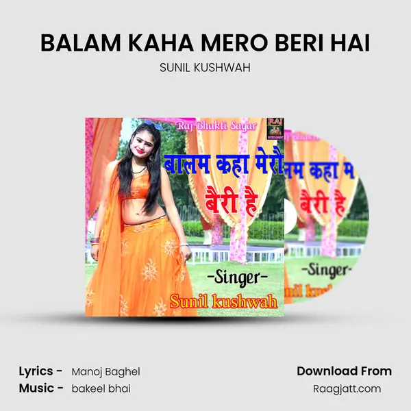 BALAM KAHA MERO BERI HAI - SUNIL KUSHWAH album cover 