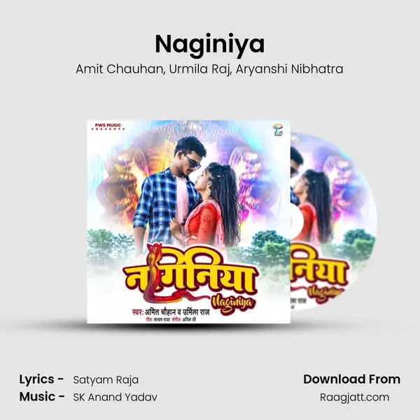 Naginiya - Amit Chauhan album cover 