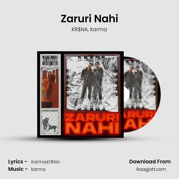 Zaruri Nahi mp3 song