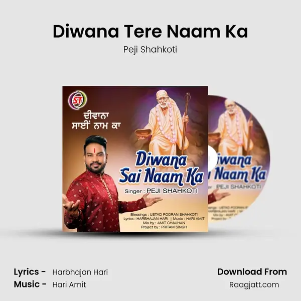 Diwana Tere Naam Ka - Peji Shahkoti album cover 