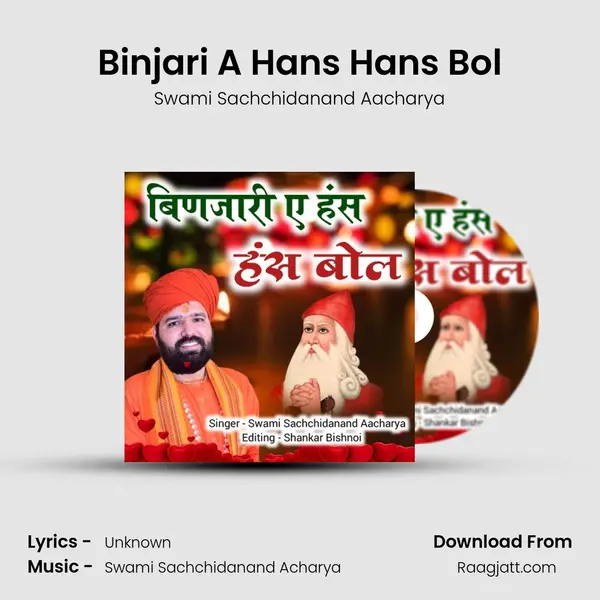 Binjari A Hans Hans Bol - Swami Sachchidanand Aacharya album cover 