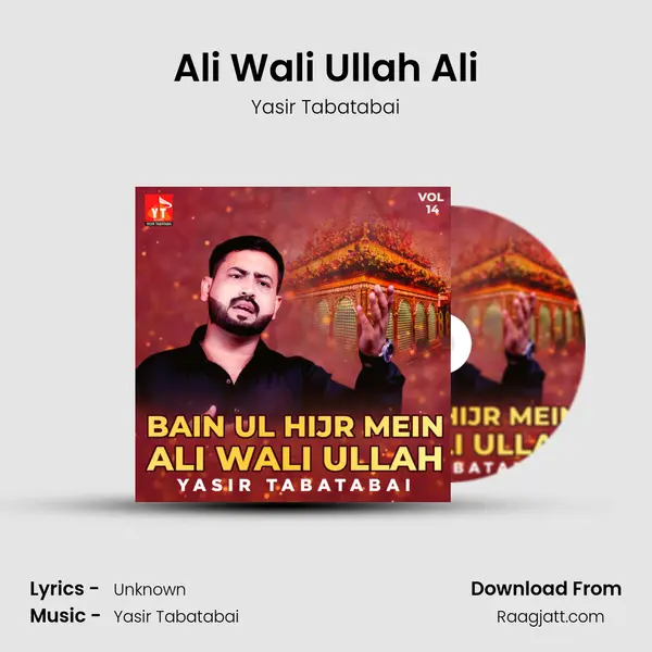 Ali Wali Ullah Ali - Yasir Tabatabai album cover 