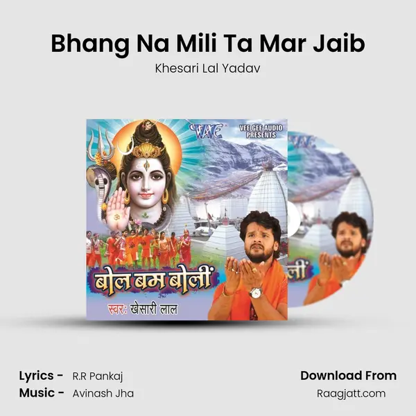 Bhang Na Mili Ta Mar Jaib mp3 song