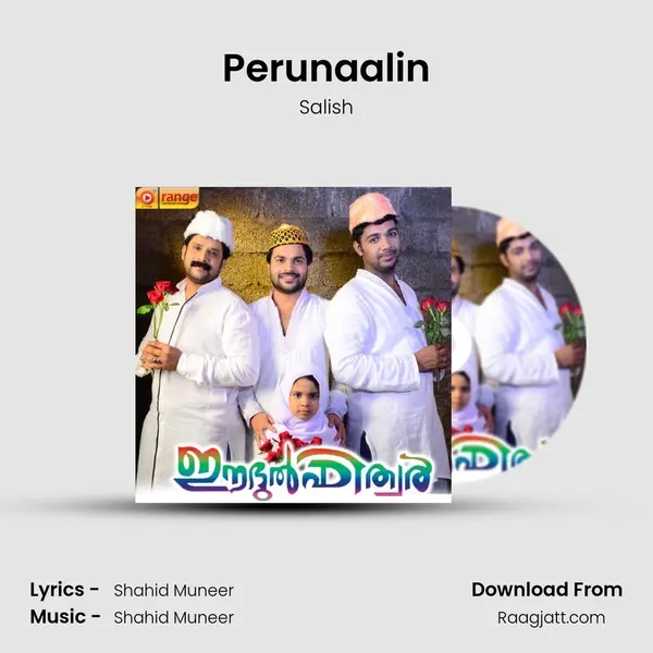 Perunaalin - Salish album cover 