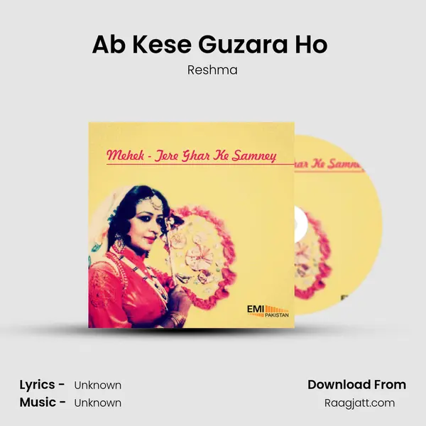 Ab Kese Guzara Ho (From Tere Ghar Ke Samney) mp3 song