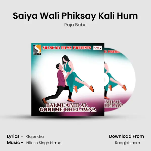 Saiya Wali Phiksay Kali Hum - Raja Babu album cover 