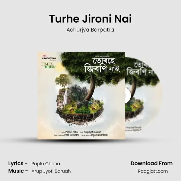 Turhe Jironi Nai mp3 song