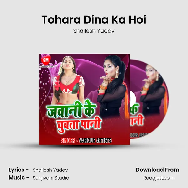 Tohara Dina Ka Hoi - Shailesh Yadav album cover 