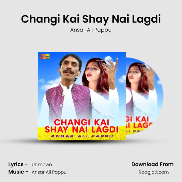 Changi Kai Shay Nai Lagdi - Ansar Ali Pappu album cover 