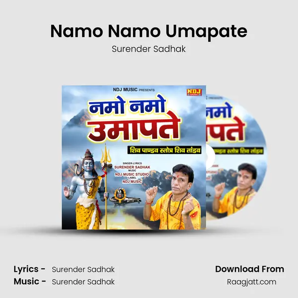 Namo Namo Umapate - Surender Sadhak album cover 