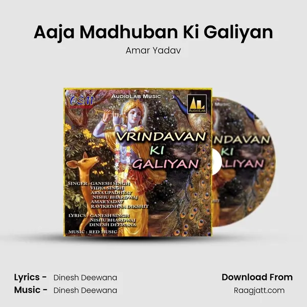 Aaja Madhuban Ki Galiyan - Amar Yadav album cover 