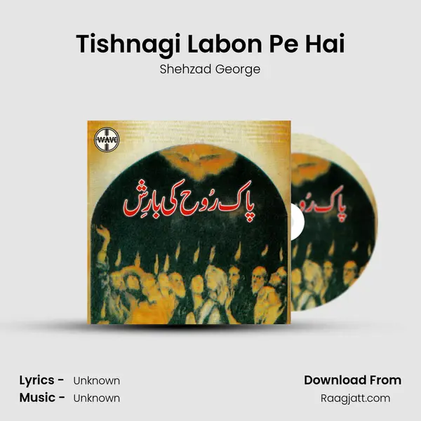 Tishnagi Labon Pe Hai - Shehzad George album cover 