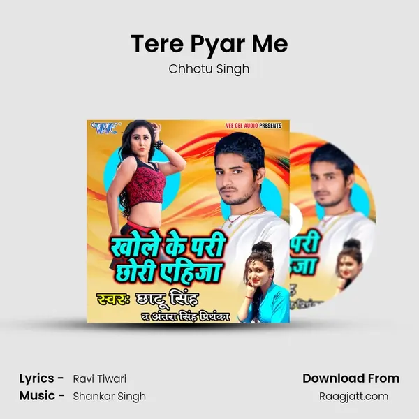 Tere Pyar Me - Chhotu Singh album cover 