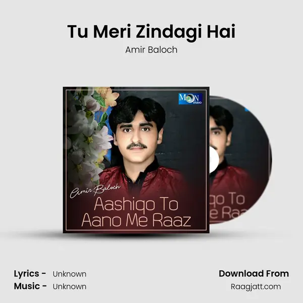 Tu Meri Zindagi Hai mp3 song