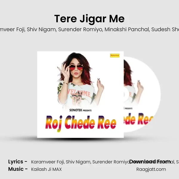 Tere Jigar Me - Karamveer Foji album cover 