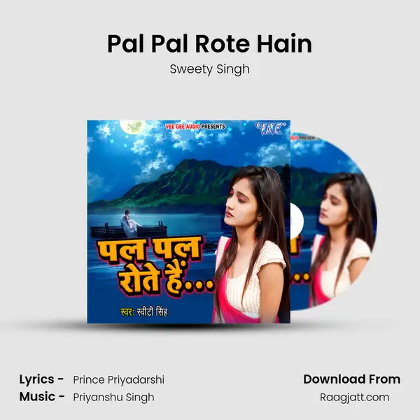 Pal Pal Rote Hain - Sweety Singh album cover 