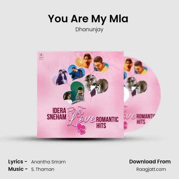 You Are My Mla (From Sarrainodu) mp3 song