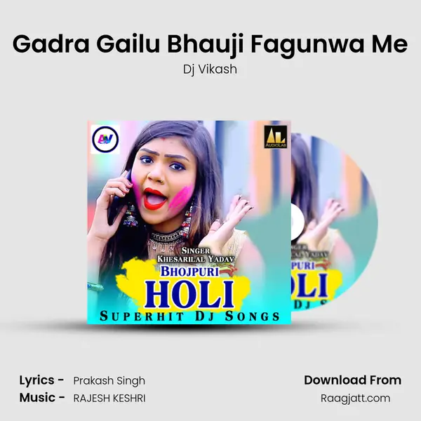 Gadra Gailu Bhauji Fagunwa Me - Dj Vikash album cover 