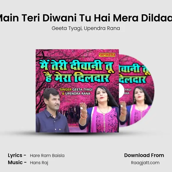 Main Teri Diwani Tu Hai Mera Dildaar mp3 song