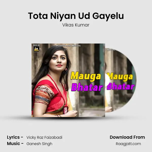 Tota Niyan Ud Gayelu - Vikas Kumar album cover 