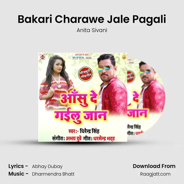 Bakari Charawe Jale Pagali - Anita Sivani album cover 