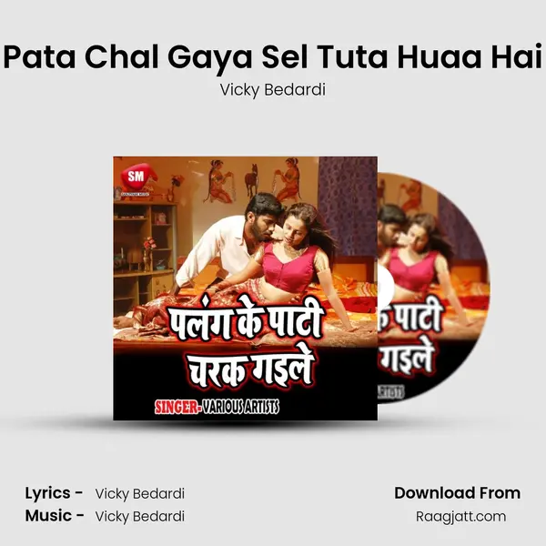 Pata Chal Gaya Sel Tuta Huaa Hai - Vicky Bedardi album cover 