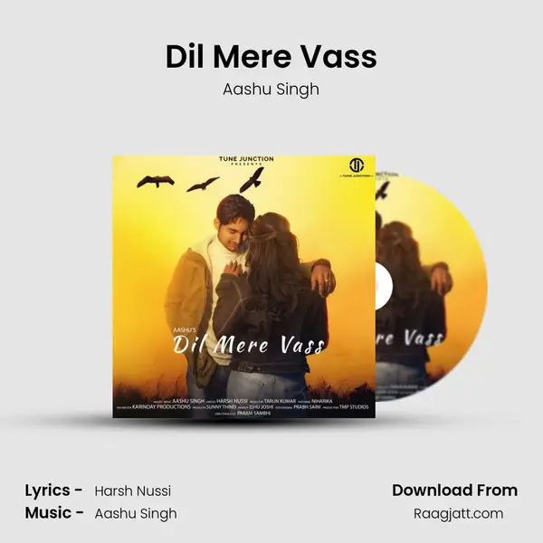 Dil Mere Vass - Aashu Singh album cover 