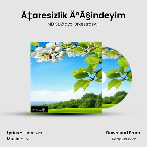 Ã‡aresizlik Ä°Ã§indeyim mp3 song