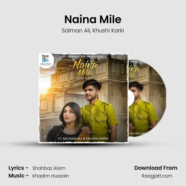 Naina Mile - Salman Ali album cover 