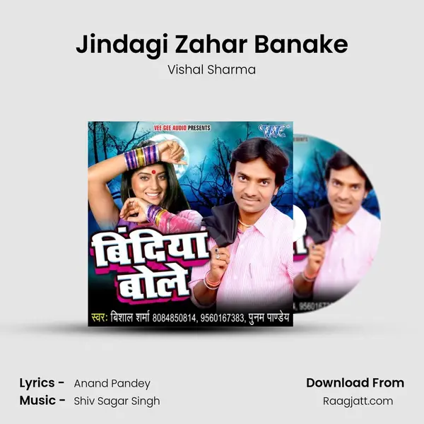 Jindagi Zahar Banake - Vishal Sharma album cover 