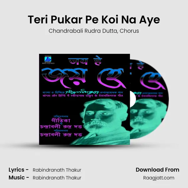 Teri Pukar Pe Koi Na Aye mp3 song