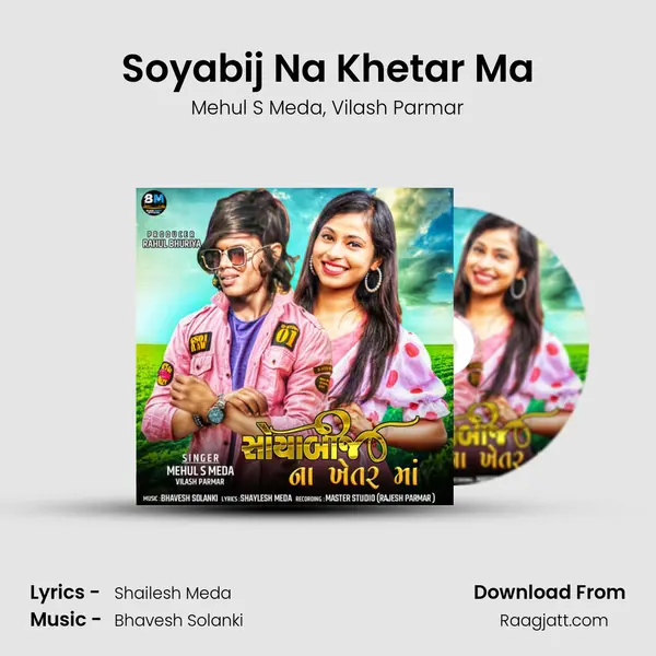 Soyabij Na Khetar Ma - Mehul S Meda album cover 