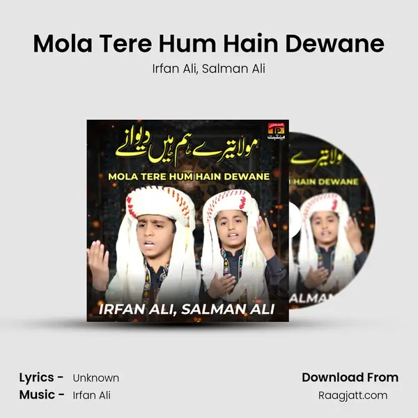 Mola Tere Hum Hain Dewane - Irfan Ali album cover 