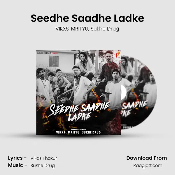 Seedhe Saadhe Ladke - VIKXS album cover 