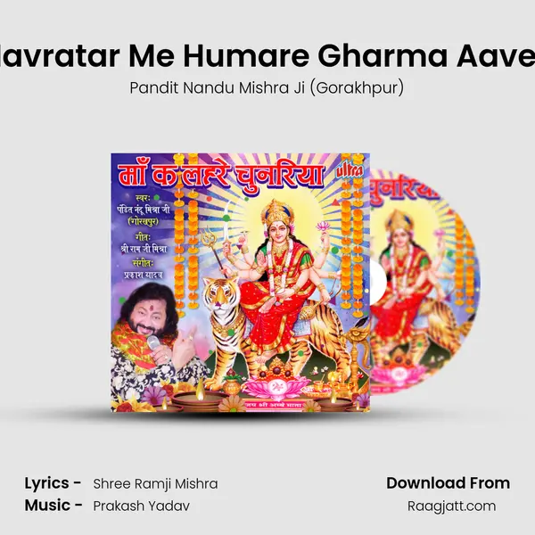 Ab Ke Navratar Me Humare Gharma Aave Ke Pari - Pandit Nandu Mishra Ji (Gorakhpur) album cover 