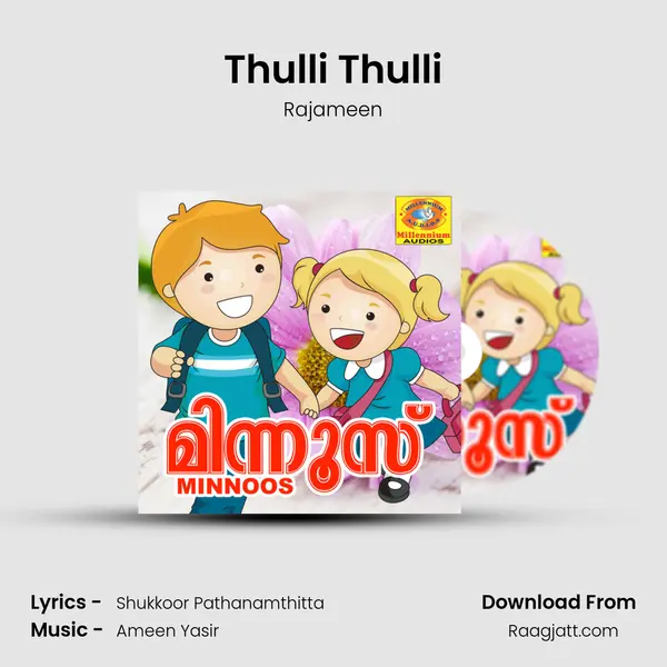 Thulli Thulli - Rajameen album cover 