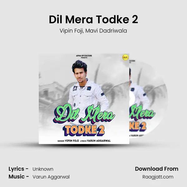 Dil Mera Todke 2 - Vipin Foji album cover 