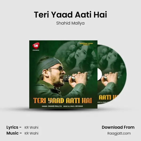 Teri Yaad Aati Hai - Shahid Mallya album cover 