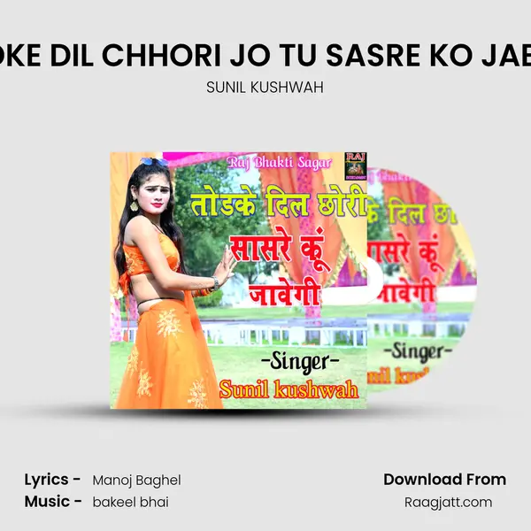 TODKE DIL CHHORI JO TU SASRE KO JABEGI mp3 song