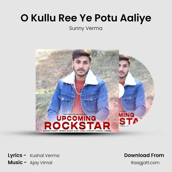 O Kullu Ree Ye Potu Aaliye - Sunny Verma album cover 