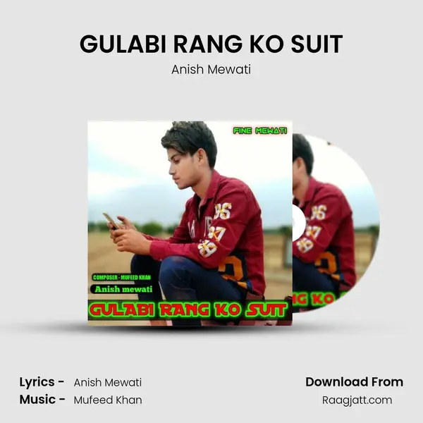 GULABI RANG KO SUIT - Anish Mewati album cover 