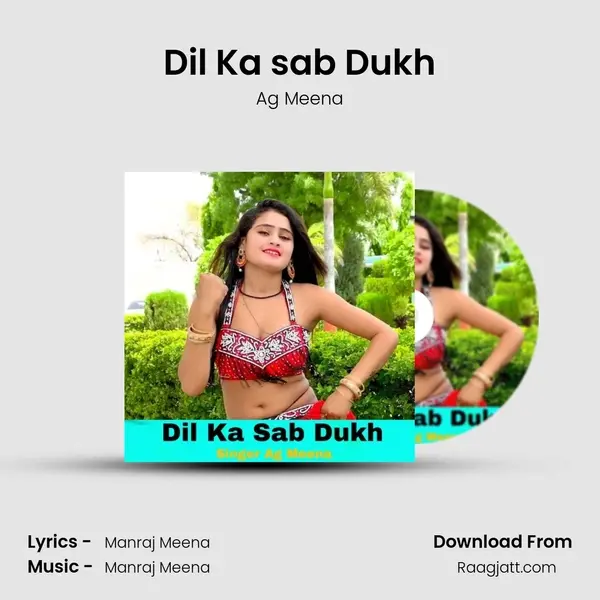 Dil Ka sab Dukh - Ag Meena album cover 